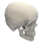 El Futuro de la Cirugía Reconstructiva: Implantes Diseñados para Cada Paciente